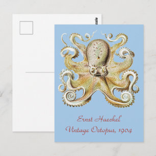 Antiker Ernst Haeckel Oktopus Nautisches Meer Lebe Postkarte