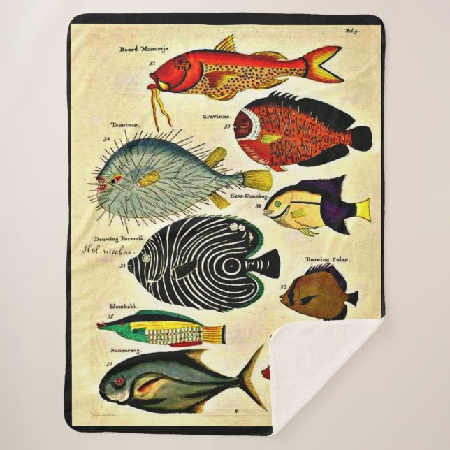 antiker Fischdruck Sherpadecke (Vorderseite)