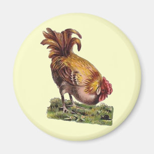 Antiker französischer Landhahn-Kühlschrankmagnet Magnet