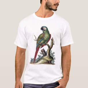 Antiker Grüner Papagei T-Shirt