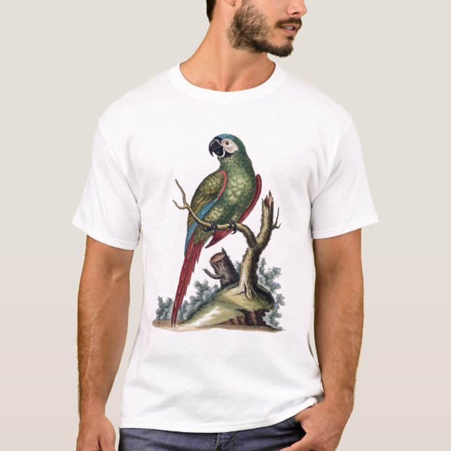 Antiker Grüner Papagei T-Shirt (Vorderseite)