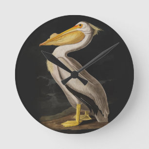 Antiker John James Audubon Weißer Pelikan Küste Runde Wanduhr