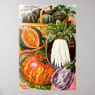 Antiker Kinder-Samenkatalog Gemüse-Kunst Poster