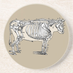 Antiker Kuh Skeleton Knochen Spaß Sandstein Untersetzer