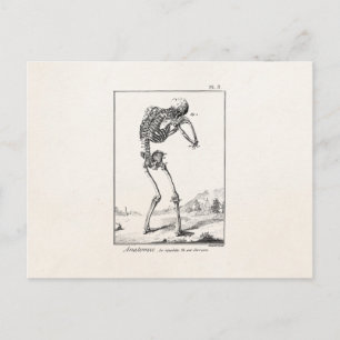 Antiker menschlicher Skelett Medizin Anatomie Postkarte