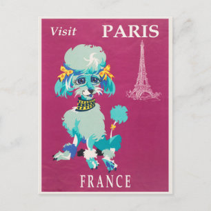 Antiker Paris Frankreich Französischer Pudel Postkarte