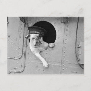 Antiker Schwarz-Weiß-Militär-Bulldogge-Nautik Postkarte