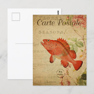 Antiker Sepia Orange Goldfisch Postkarte