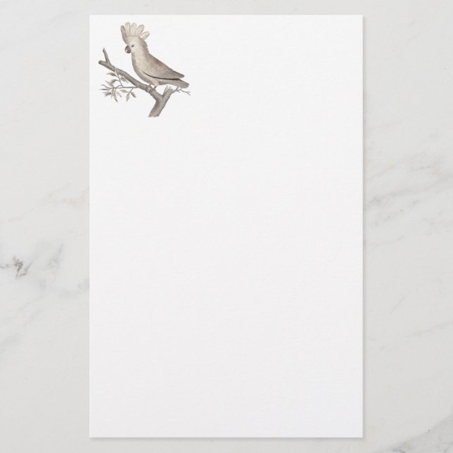 Antiker Stich eines Cockatoo Histoire Naturelle Briefpapier (Vorderseite)