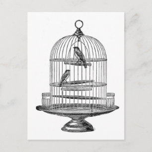 Antiker Vogelkäfig mit Vögeln...Postkarte Postkarte