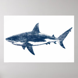 Antiker zeichn von Weißer Hai II Poster