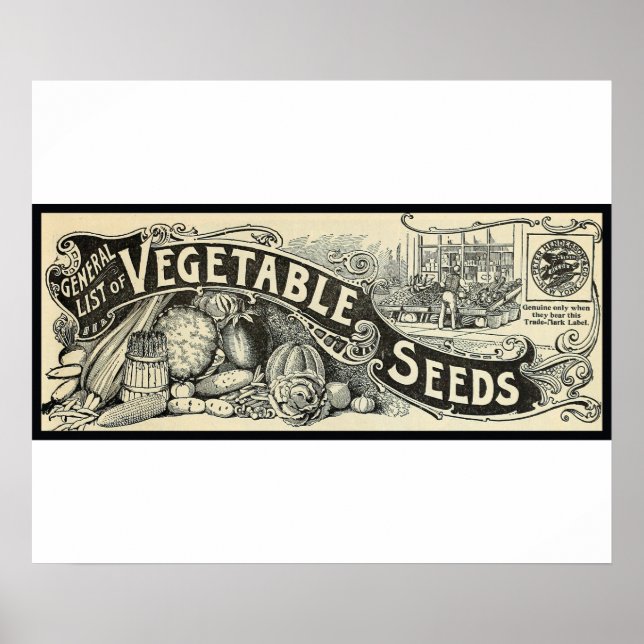 Antikes 1894 Gemüsesaatgut-Zeichen Poster (Vorne)