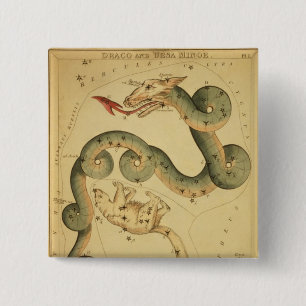 Antikes Astronomie-Poster Draco & Ursa Minor Button
