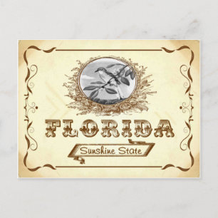 Antikes Aussehen 1910 Florida Alte Postkarte