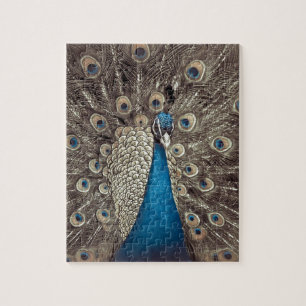 Antikes Blau Pfau