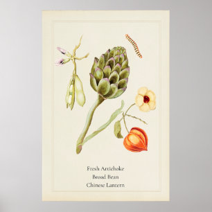 Antikes botanisches Kunstblatt Artischocke Poster