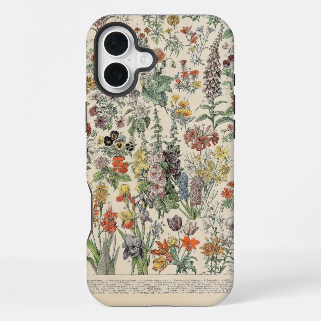 Antikes botanisches Muster iPhone 16 Plus Hülle (Rückseite)