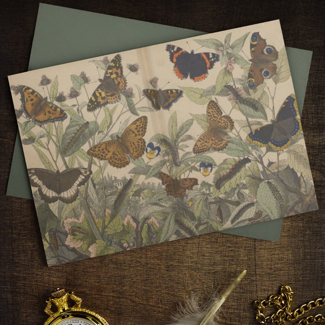 Antikes botanisches Vintages Schmetterlingsdekoupa Seidenpapier (Von Creator hochgeladen)