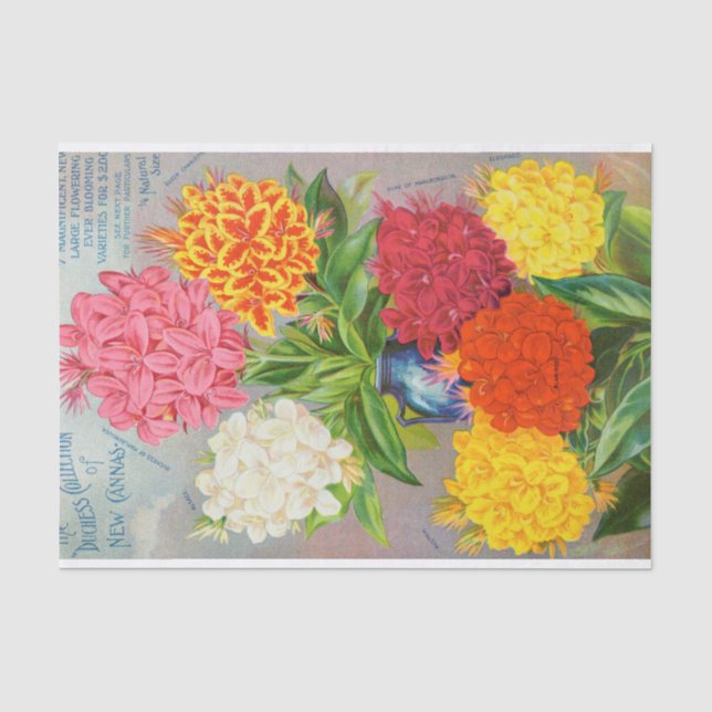 Antikes buntes Cannas Seidenpapier (Vorderseite)