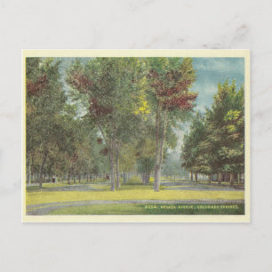 Antikes Colorado Springs Postkarte