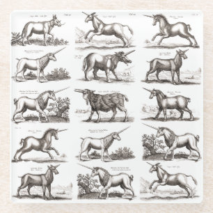 Antikes Einhorn-Gravur Vintage-Zoologie-Exemplar Glasuntersetzer