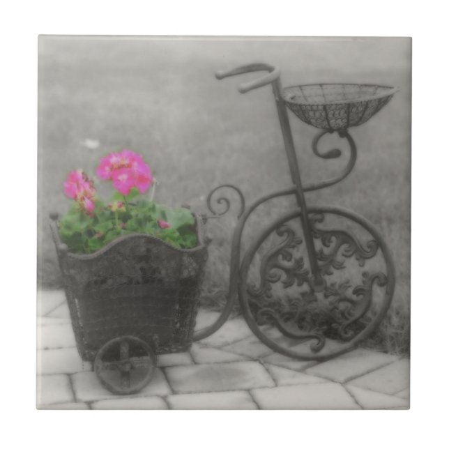Antikes Fahrrad und Blume in Schwarzweiß Fliese (Vorderseite)