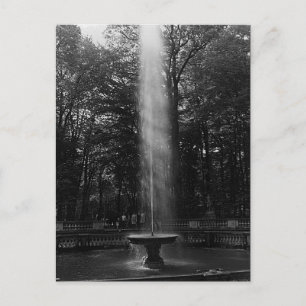 Antikes Frankreich Versailles Palast Hain der Kupp Postkarte