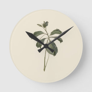 Antikes gepresstes botanisches grünes Blatt Exempl Runde Wanduhr