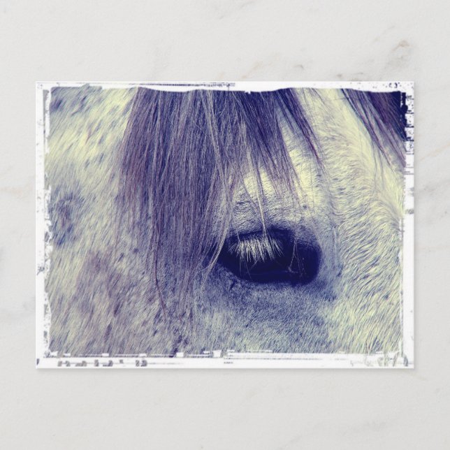 Antikes Grau Postkarte (Vorderseite)