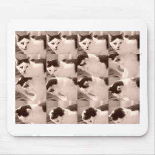 Antikes Kätzchen/Schwarz-Weiß-Foto Mousepad