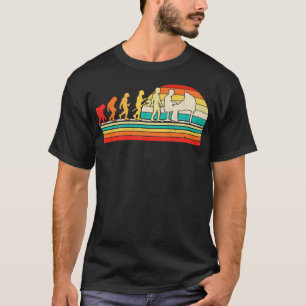 Antikes Klavier Evolution Pianist Klavier Keyboard T-Shirt