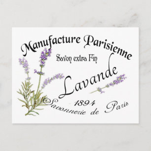 Antikes Lavendel Postkarte
