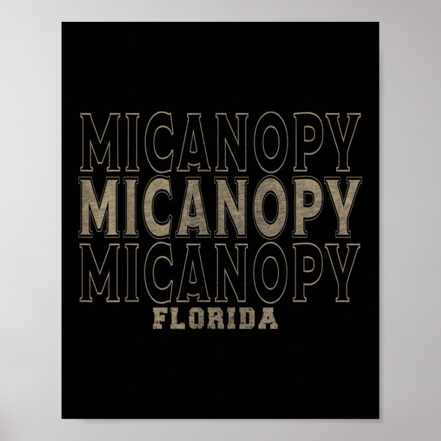 Antikes Micanopy Florida  Poster (Vorne)