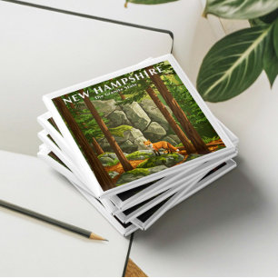 Antikes New Hampshire Magnet