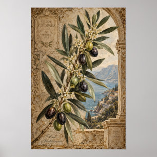Antikes Olivenzweig-Mittelmeer-Wandkunst Poster