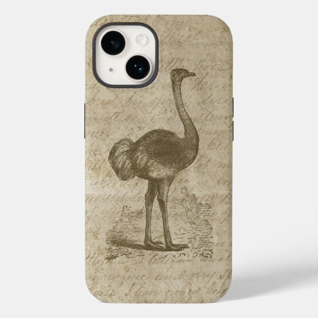 Antikes Ostrich Script Grunge Paper Case-Mate iPhone 14 Hülle (Rückseite)