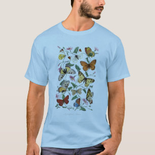 Antikes Paul Gervais Butterfets Naturgeschichte T-Shirt