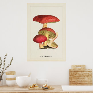 Antikes Pilzkunst-Druck  Poster