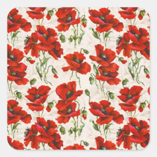 Antikes rotes Mohnblumen-Blumenmuster Botanische K Quadratischer Aufkleber