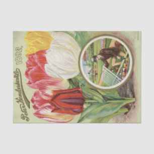 Antikes Sämereienkatalog Henderson's 1892 Tulpen Seidenpapier