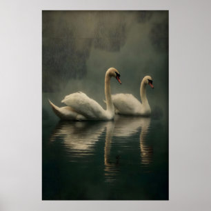 Antikes Schwan-Paar-Wandbild, Schwäne Illustration Poster