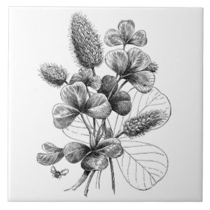 Antikes Schwarz-Weiß-Kleeblatt-Bouquet Fliese