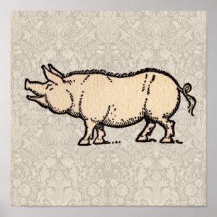 Antikes Schwein Süß Vintage Poster
