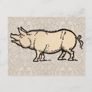 Antikes Schwein Süßes Vintage-Illustration Postkarte