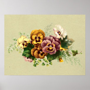 Antikes Stiefmütterchen Gemaltes Bouquet Poster