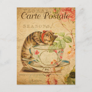 Antikes süßes Katzen-Trinken von Tee-Tasse und Unt Postkarte