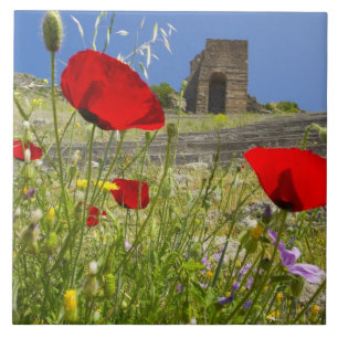 Antikes Theater in der Akropolis von Pergamon Fliese