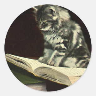 Antikes Tier, süße viktorianische Katze beim Lesen Runder Aufkleber