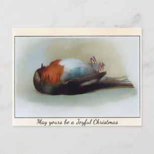 Antikes viktorianisches totes Vogel-Weihnachten Postkarte