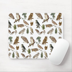 Antikes Wasserfarben-Waldmuster mit Eule Mousepad